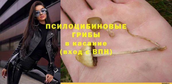 герыч Бронницы