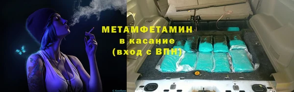 PSILOCYBIN Бородино
