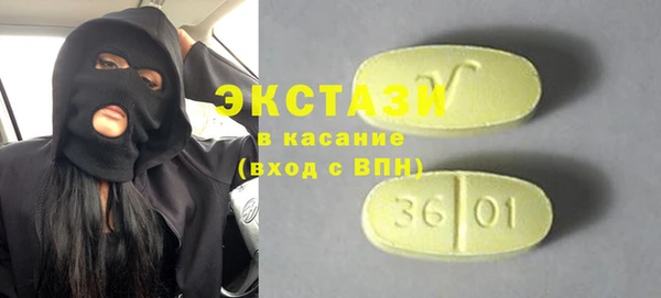 PSILOCYBIN Бородино