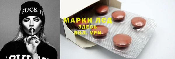 PSILOCYBIN Бородино