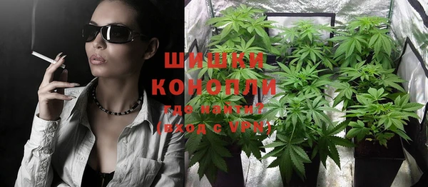 PSILOCYBIN Бородино