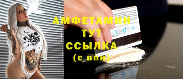 PSILOCYBIN Бородино