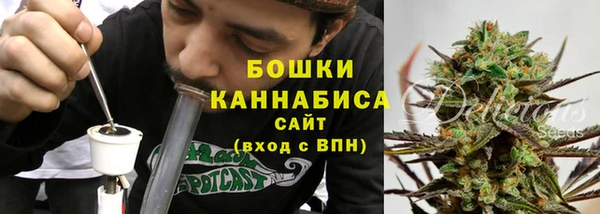 PSILOCYBIN Бородино