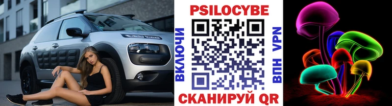 сколько стоит  Киселёвск  Псилоцибиновые грибы GOLDEN TEACHER 